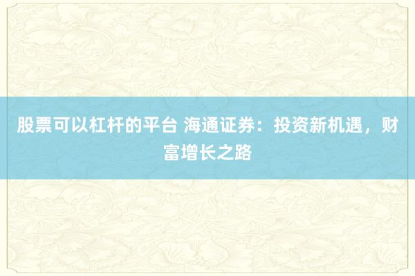 股票可以杠杆的平台 海通证券：投资新机遇，财富增长之路