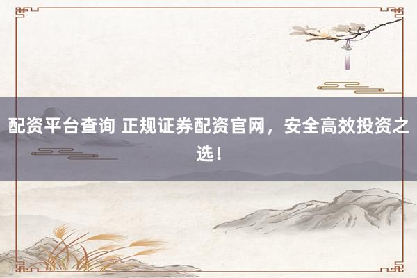 配资平台查询 正规证券配资官网，安全高效投资之选！