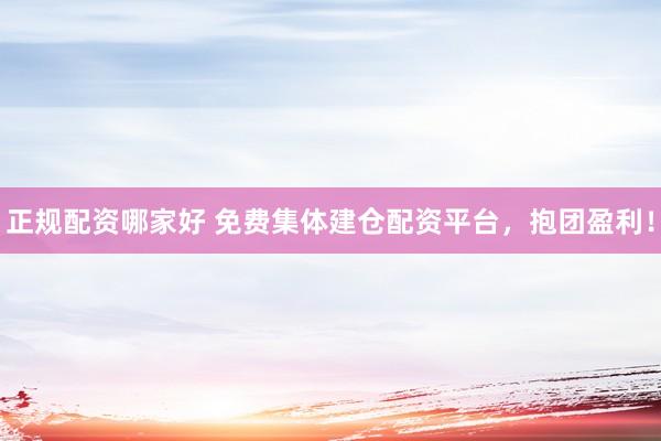 正规配资哪家好 免费集体建仓配资平台，抱团盈利！