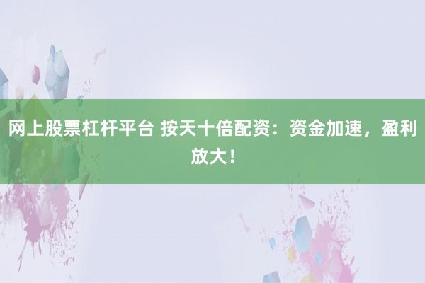 网上股票杠杆平台 按天十倍配资：资金加速，盈利放大！