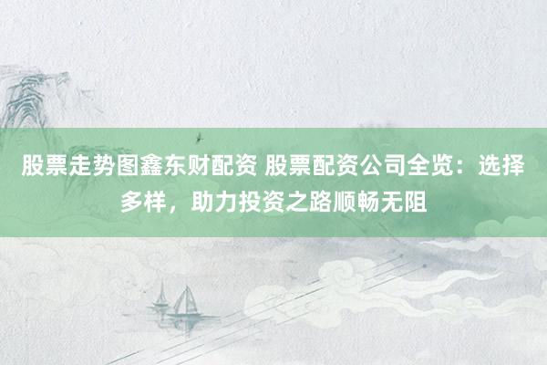 股票走势图鑫东财配资 股票配资公司全览：选择多样，助力投资之路顺畅无阻