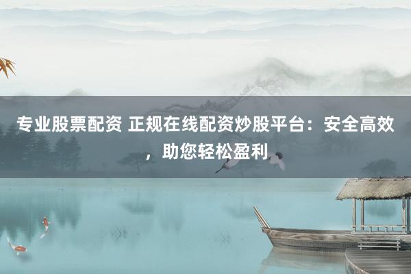 专业股票配资 正规在线配资炒股平台:安全高效,助您轻松盈利