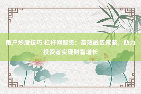散户炒股技巧 杠杆网配资:高效融资策略,助力投资者实现财富增长