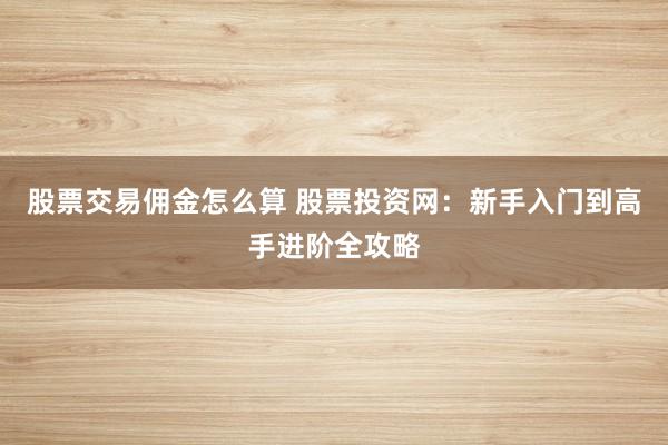 股票交易佣金怎么算 股票投资网：新手入门到高手进阶全攻略