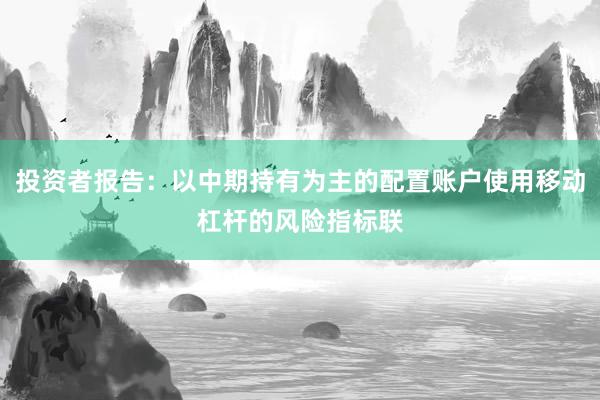 投资者报告：以中期持有为主的配置账户使用移动杠杆的风险指标联